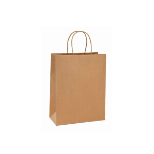 Bolsa kraft mediana